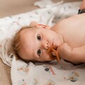 Silicone Dummy Pacifier - Amber (3 months+) 